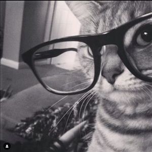 Meet your Posher, Haven